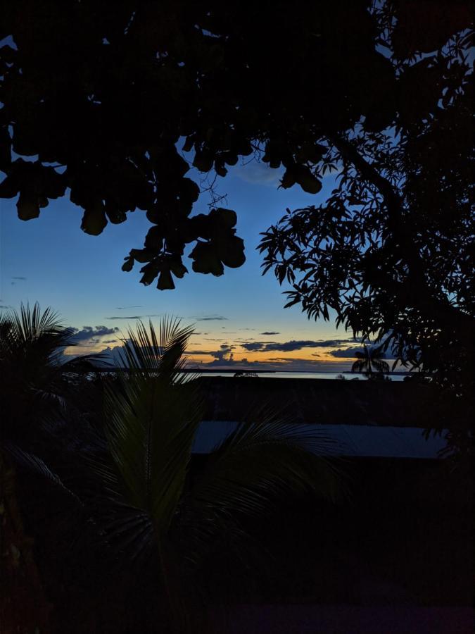 Maiku Amazonas Otel Puerto Nariño Dış mekan fotoğraf