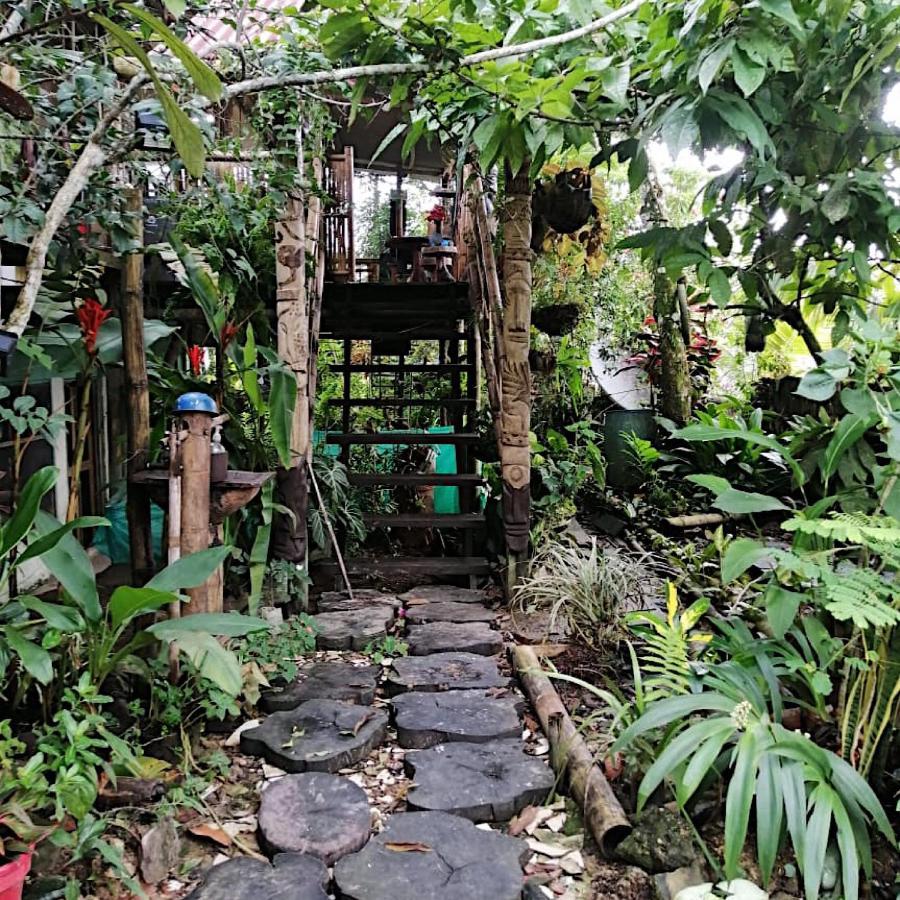 Maiku Amazonas Otel Puerto Nariño Dış mekan fotoğraf