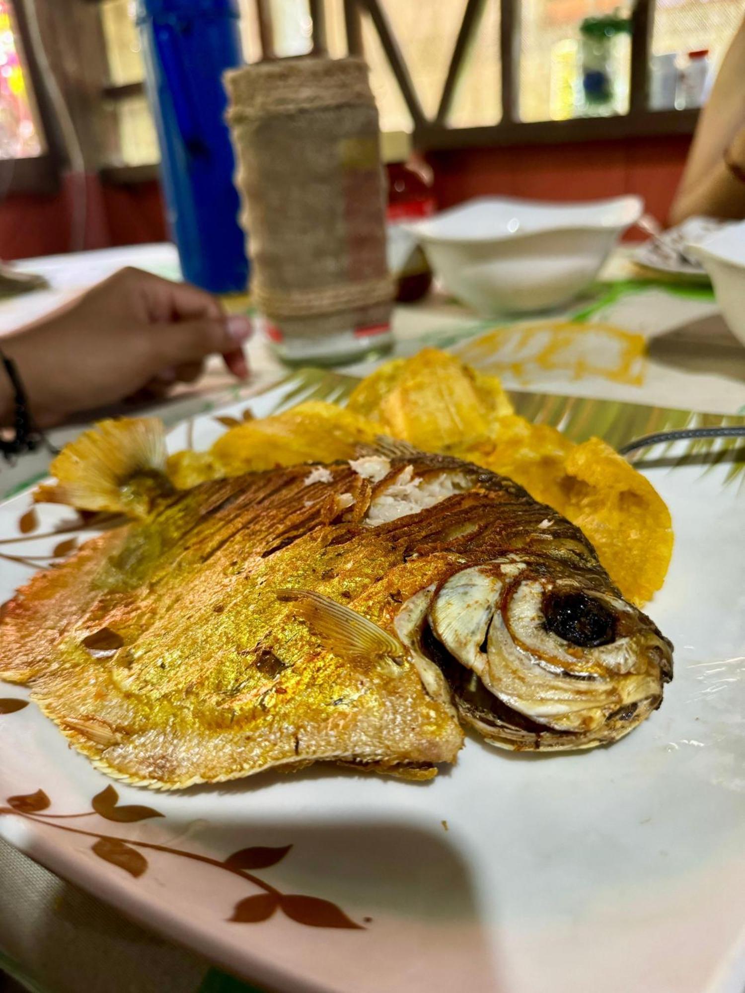 Maiku Amazonas Otel Puerto Nariño Dış mekan fotoğraf