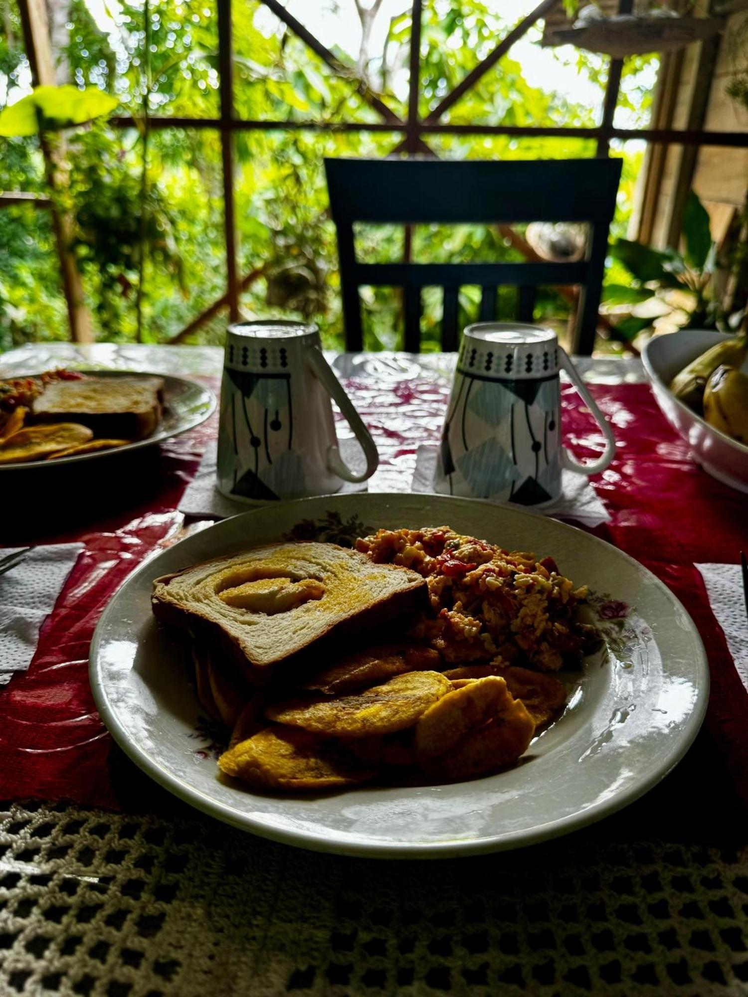 Maiku Amazonas Otel Puerto Nariño Dış mekan fotoğraf